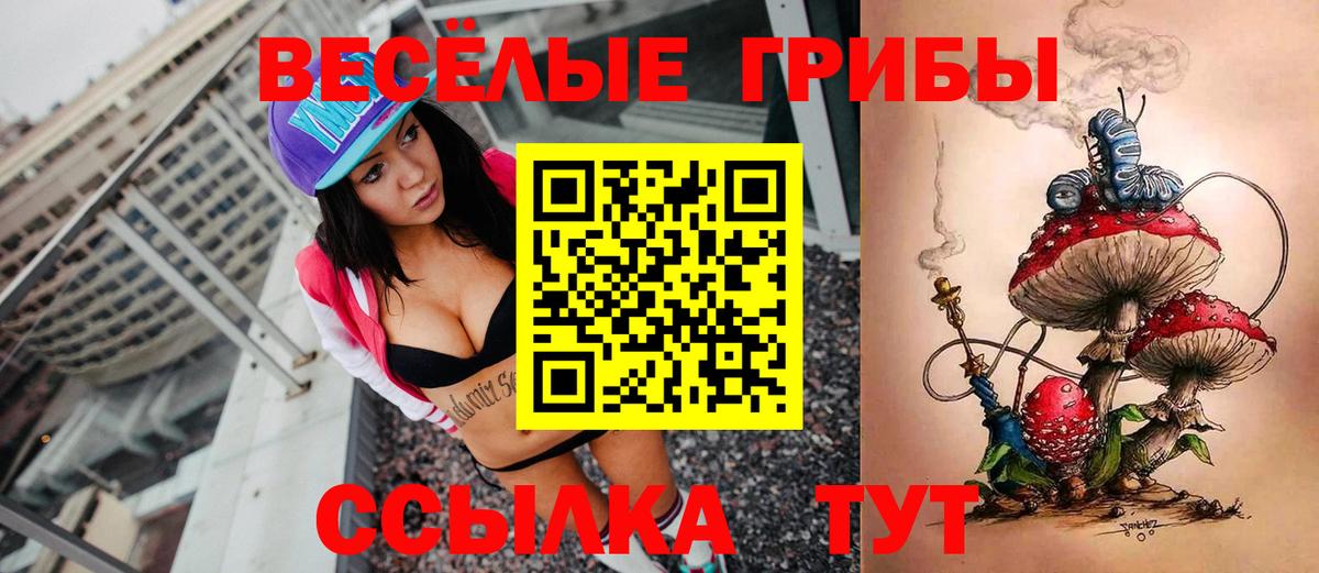Долгопрудный  Псилоцибиновые грибы Cubensis  Вход с VPN 